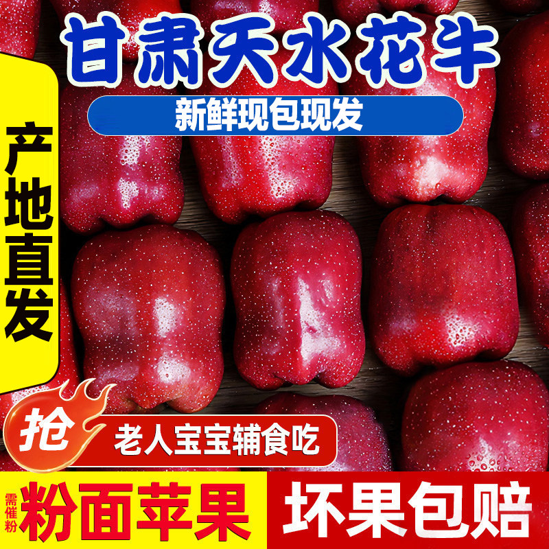 正宗甘肃天水花牛苹果小孩老人面粉脆沙甜蛇红新鲜水果粉面果