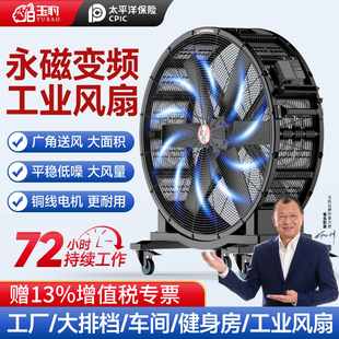 工业风扇强力电风扇大功率车间仓库工厂用大风机手推可移动落地扇