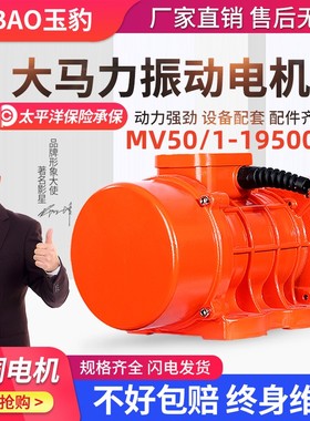 MV50/1-19500/1工业振动电机380v三相异步震动电机下料振动器国标
