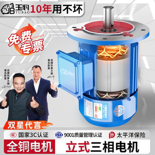 6极马达卧式 变频YE3国标三相异步电动机 电机380v三相2 全铜立式