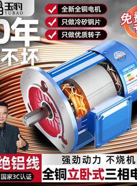 全铜立卧式电机380v三相2/4/6级静音变频国标小型三相异步电动机