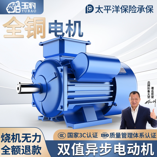 玉豹单相异步电动机全铜小型异步