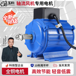 220V强力通风机 SF轴流风机电机马达工业管道排烟除尘排风扇380V
