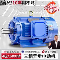 【國標(biāo)全銅線】三相異步電機(jī)380V