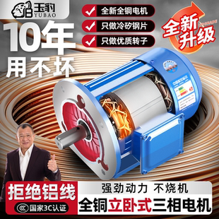 全銅立臥式 6級靜音變頻國標(biāo)小型三相異步電動機 電機380v三相2