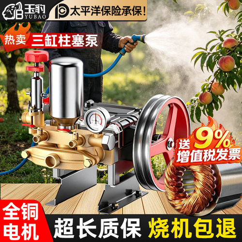 三缸柱塞泵打药机喷雾器高压农用园林果树小型家用电动喷洒农药泵