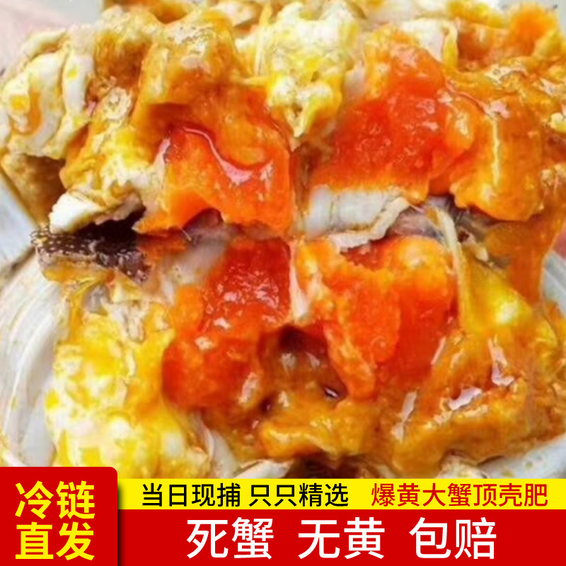 8送2礼盒装上海崇明清水蟹产地直发鲜活大闸蟹公3.5两母2.5两10只