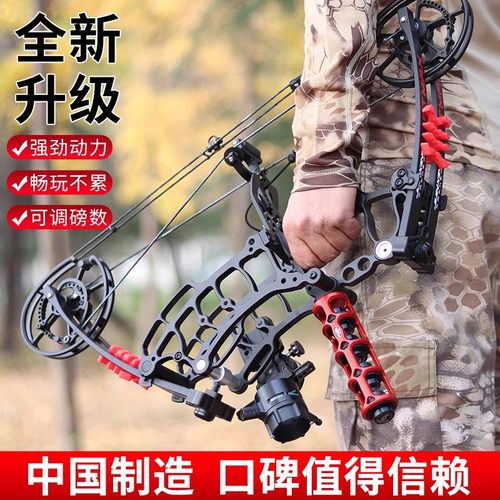 闪电狼两用复合弓套装射箭射击