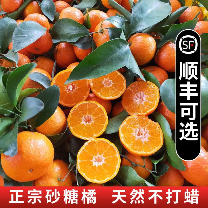 广西荔浦砂糖橘包甜不打蜡不泡药
