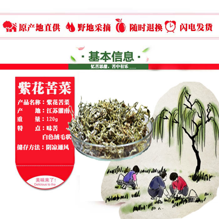 灌南野 生养胃茶精拣紫花苦菜|灌南嫩紫花苦菜干包邮苦芯菜赠糖