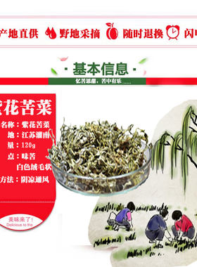 精选明前紫花苦菜茶灌南树荣苦菜