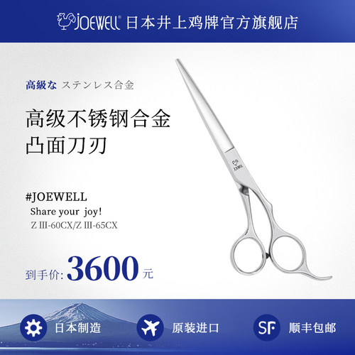美发剪刀joewell日本进口