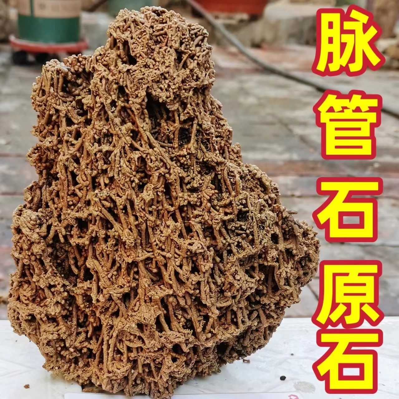 脉管石麦管石吸水石上水石天然原石假山石头钟乳石奇石盆景绿植