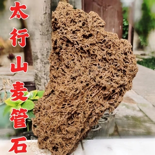 麦管石脉管微景观上水石奇石石头原石假山盆景毛料摆件芦管吸水石