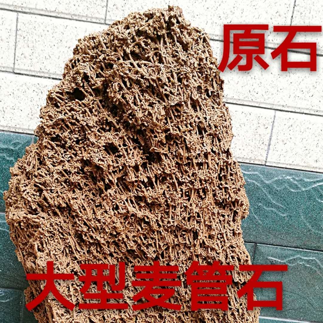 大型麦管石原石吸水石上水石假山奇石化石芦管石植物化石天然脉管