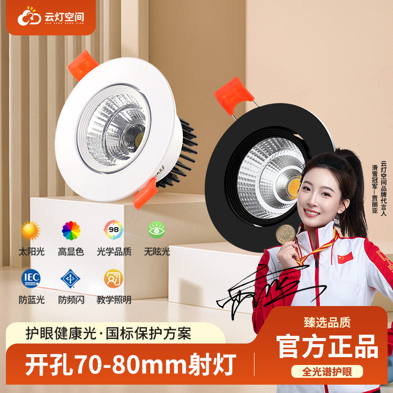 led射灯嵌入式家用吊顶开孔客厅