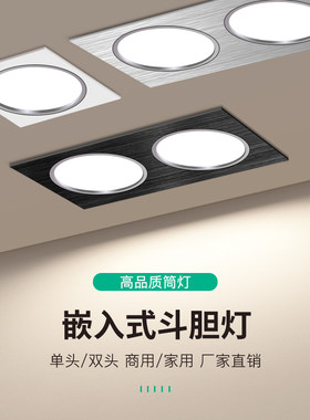 双头筒灯led长方形嵌入式20*10