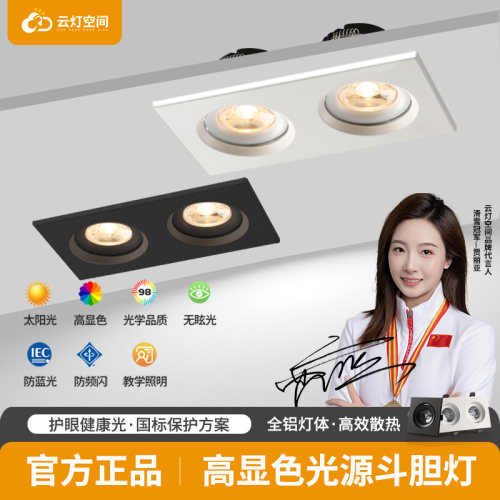 双头射灯嵌入式防眩光可调角度