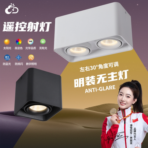 2025年新明装射灯智能遥控开关灯