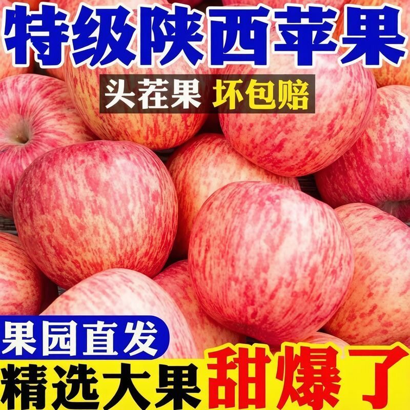 陕西红富士苹果现摘大果直发
