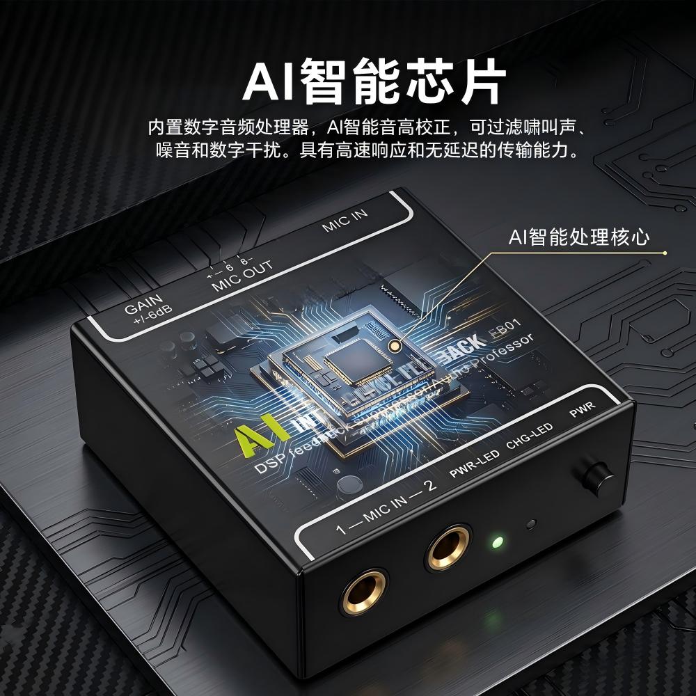 音频反馈抑制器双麦克风防啸叫