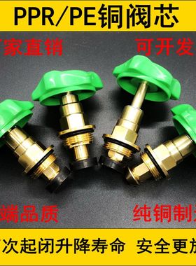 PPR截止阀铜阀芯PE阀门芯 升降式铜开关 水管配件4分6分20 25精品