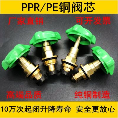 PPR截止阀铜阀芯PE阀门芯 升降式铜开关 水管配件4分6分20 25精品
