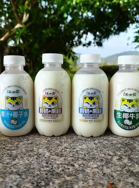 江小萌椰汁+椰子水多口味酸奶香浓牛奶蛋白饮料380克早餐团建聚餐