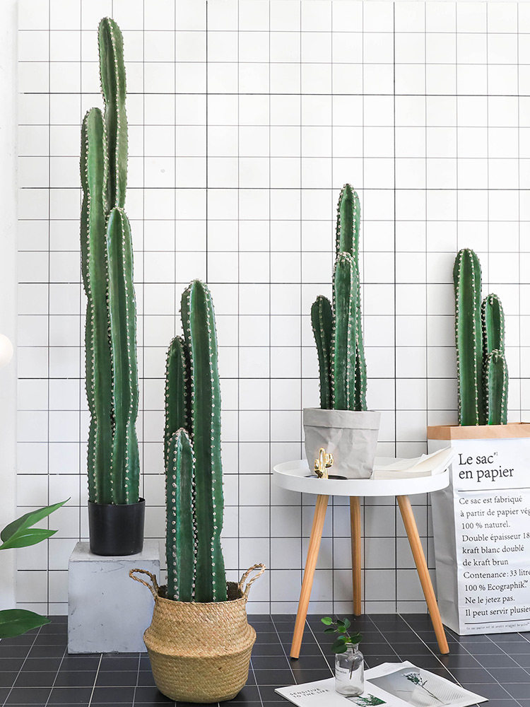 ins超大仿真仙人掌大型墨西哥量天尺仙人柱家居客厅落地网红摆件