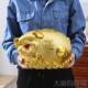 正品 富金猪存钱罐只儿进不出陶成人超大号储蓄罐贵储钱瓷罐创意童