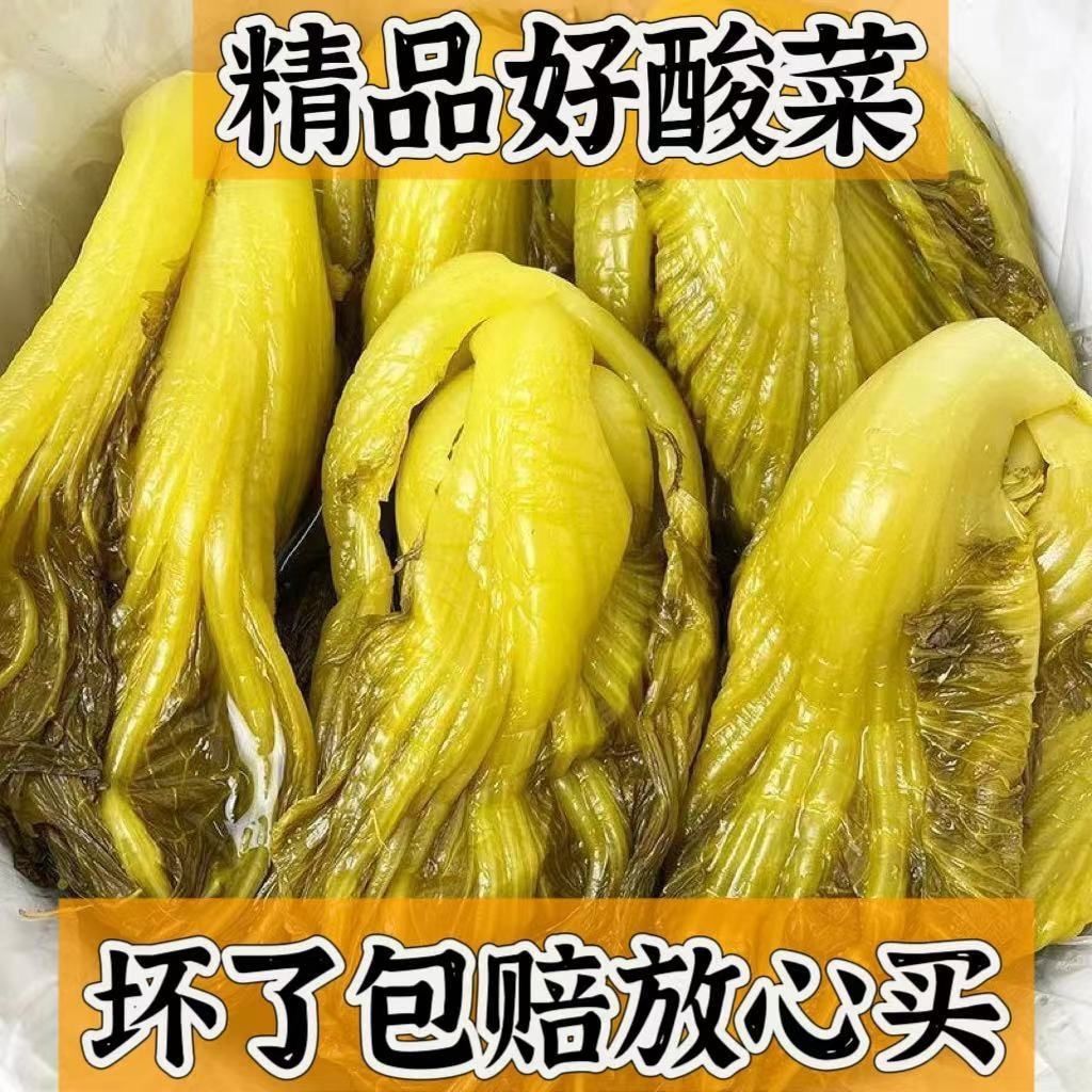 四川酸菜正宗老坛芥菜农