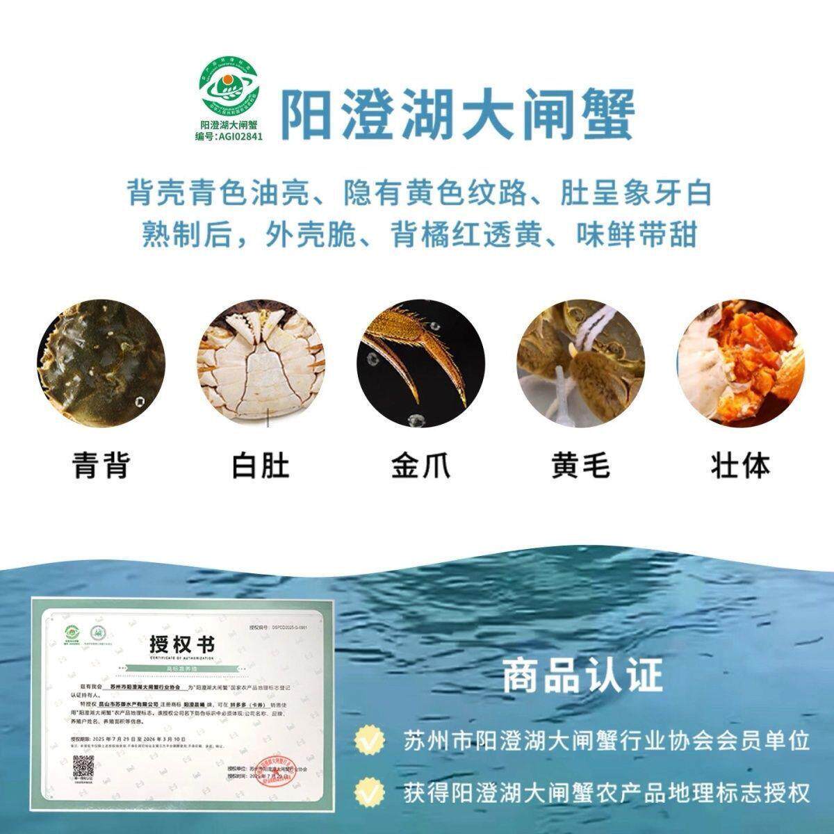 【礼券】阳澄湖大闸蟹鲜活螃蟹提货券中秋礼品卡足斤足两10只礼盒