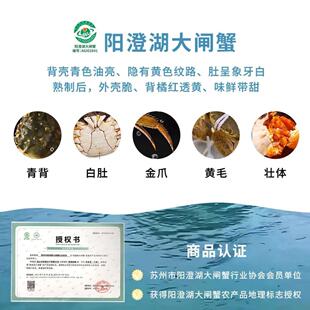 【礼券】阳澄湖大闸蟹鲜活螃蟹提货券中秋礼品卡足斤足两10只礼盒