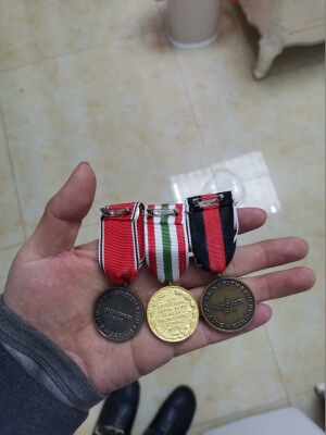 鲜花奖章 吞并奥地利 回收梅米尔 吞并苏德台纪念章