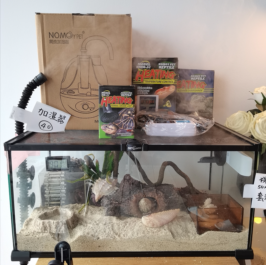 直播间左上和主播全套一模一样寄居蟹玻璃饲养缸用品套装