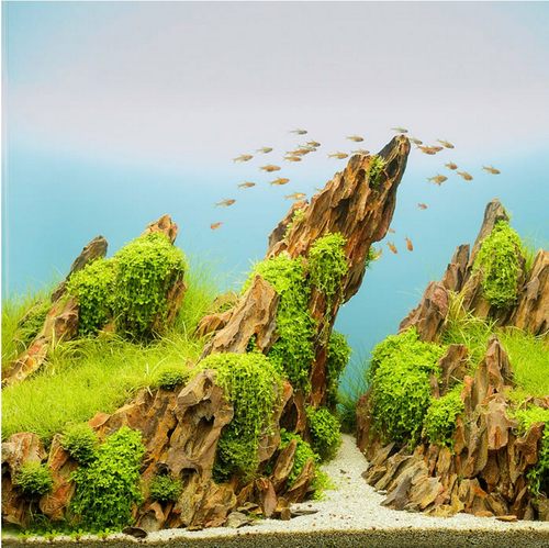 鱼缸水草缸造景石千层木纹石