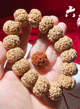 心佑尼泊尔6六瓣大金刚菩提子手串 天然飞碟桩满肉满蜂窝双龙纹男