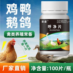 呼净片100片装鸡鸭鹅鸽子鹌鹑用养殖常备