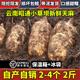 云南昭通新鲜天麻3斤仿野生特级种植小草坝乌天麻 清洗真空包装