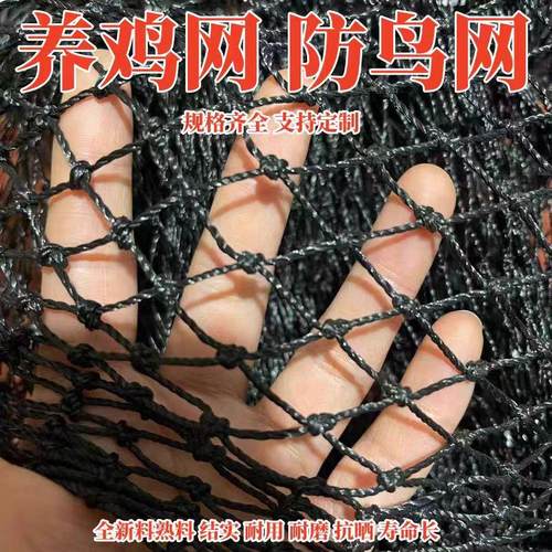 黑色抗老化扬子网加粗