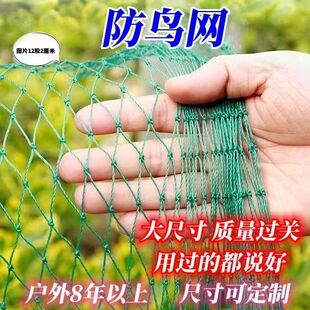 【防鸟神器】大棚防鸟果园天网防鸟网池塘防鸟网庭院多肉防鸟网