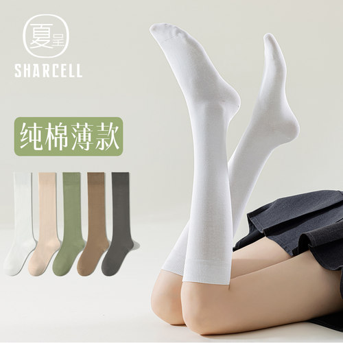 经典黑白小腿袜显瘦不勒四季款