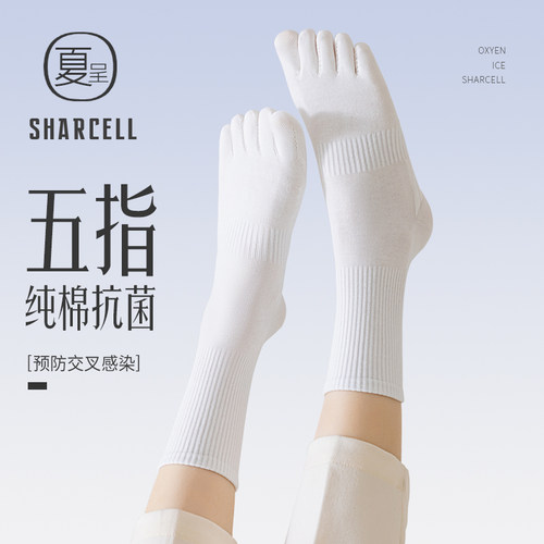 五指袜女抗菌防臭纯棉分趾袜