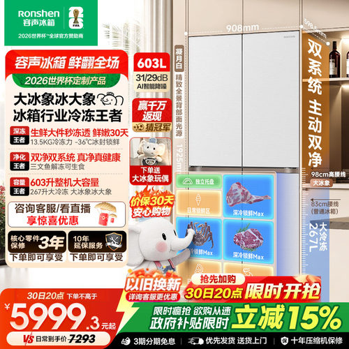 容声大冰象603冰箱行业冷冻王者