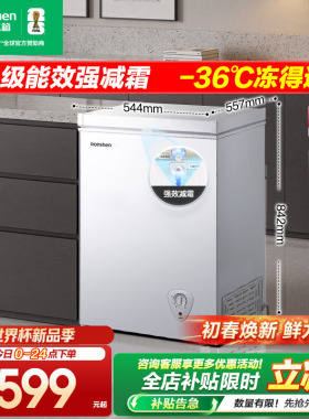 容声100MB小冷柜家用商用卧式冰柜小型一级能效节能冷藏冷冻官方