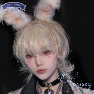 皮皮家温柔白金短卷发仿生渐变小反翘男款M刘海全头套Lolita假发