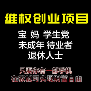 维权反打假项目培训指导咨询服务教学教程简单易懂举报职业资料课