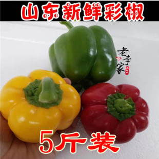 新鲜圆椒甜椒五彩椒太空椒柿子椒红椒黄椒绿椒灯笼椒甜椒包邮