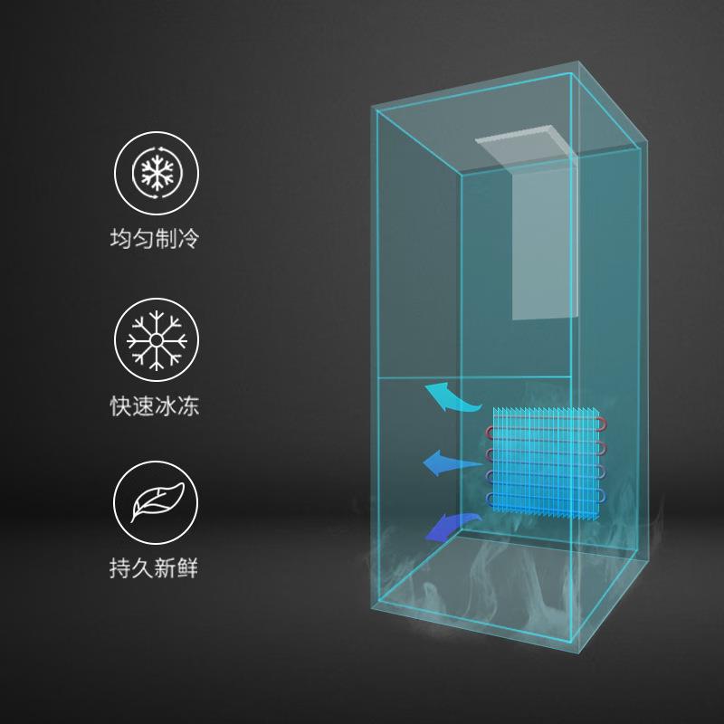 创.维BCD-183D183升小型家用冰箱出租房办公室宿舍双开门两门
