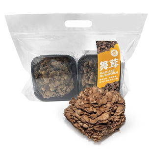 山姆代购舞茸300g山珍菌菇灰树花新鲜蔬菜适合炒凉拌香煎煲汤火锅